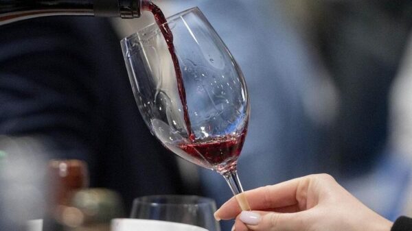 Blog - Vinos accesibles en tiempos de crisis para disfrutar más